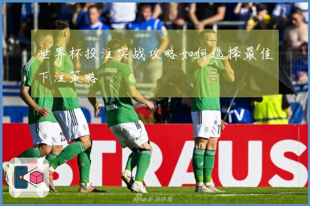 世界杯投注实战攻略如何选择最佳下注策略