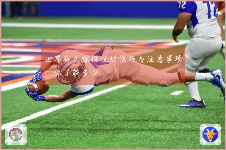 世界杯买球投注的技巧与注意事项，你了解多少