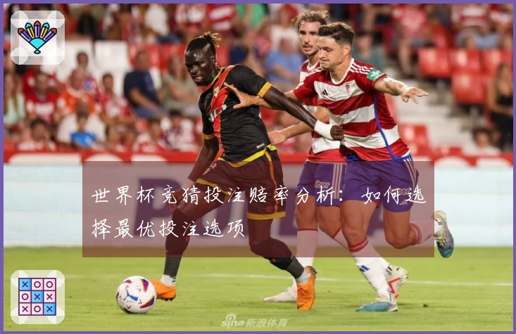 世界杯竞猜投注赔率分析：如何选择最优投注选项