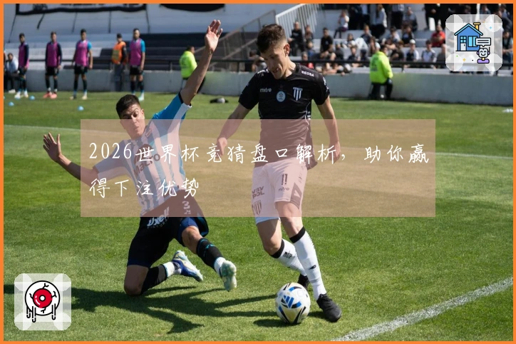 2026世界杯竞猜盘口解析，助你赢得下注优势