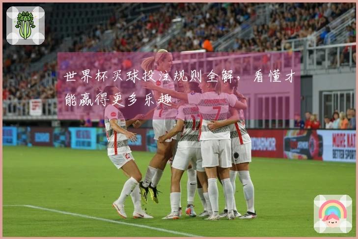 世界杯买球投注规则全解，看懂才能赢得更多乐趣