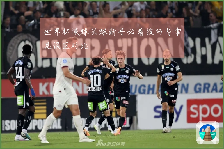 世界杯滚球买球新手必看技巧与常见误区对比