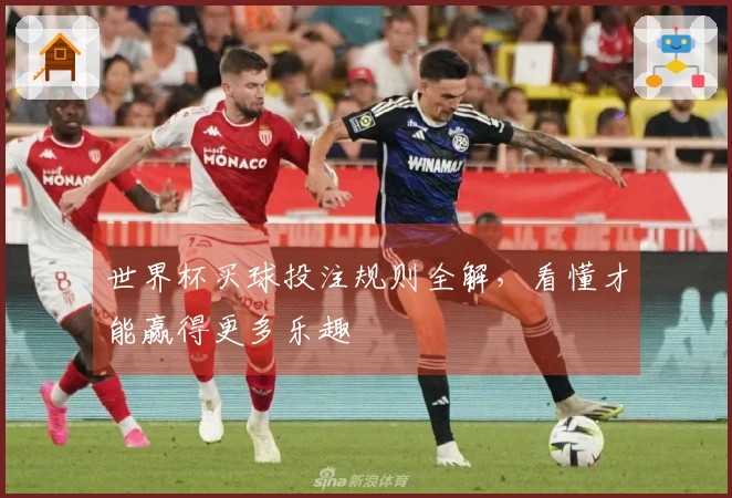 世界杯买球投注规则全解，看懂才能赢得更多乐趣