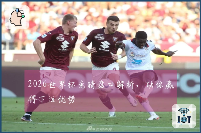 2026世界杯竞猜盘口解析，助你赢得下注优势