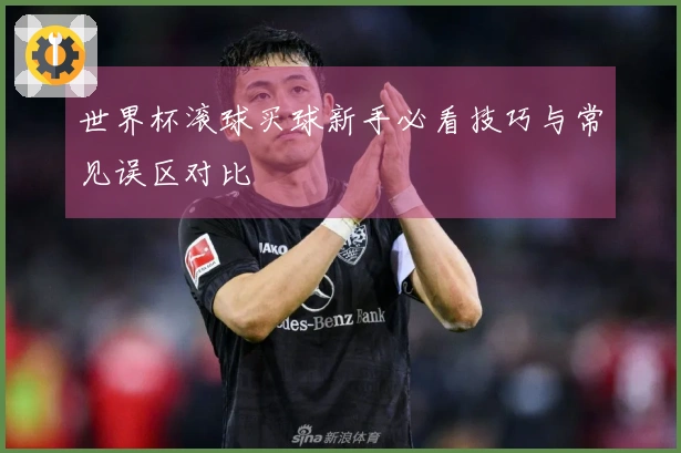 世界杯滚球买球新手必看技巧与常见误区对比