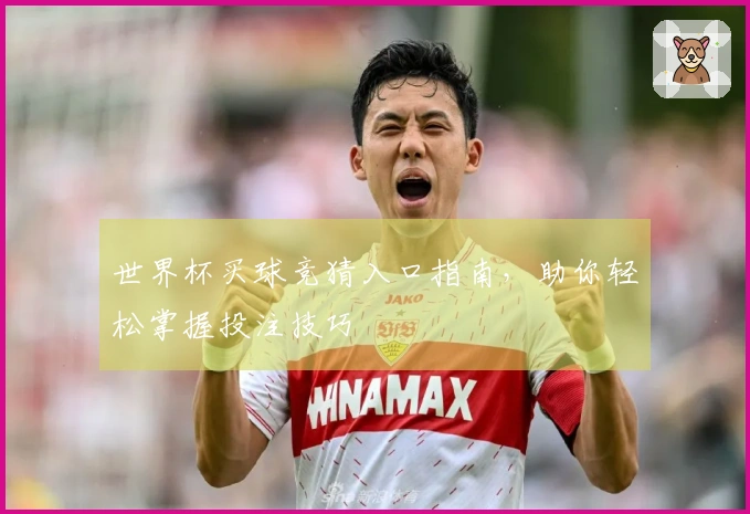 世界杯买球竞猜入口指南，助你轻松掌握投注技巧