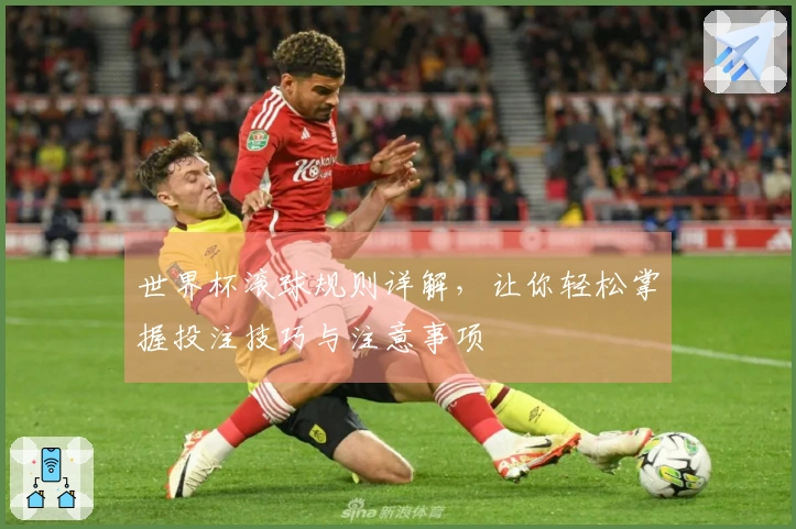 世界杯滚球规则详解，让你轻松掌握投注技巧与注意事项